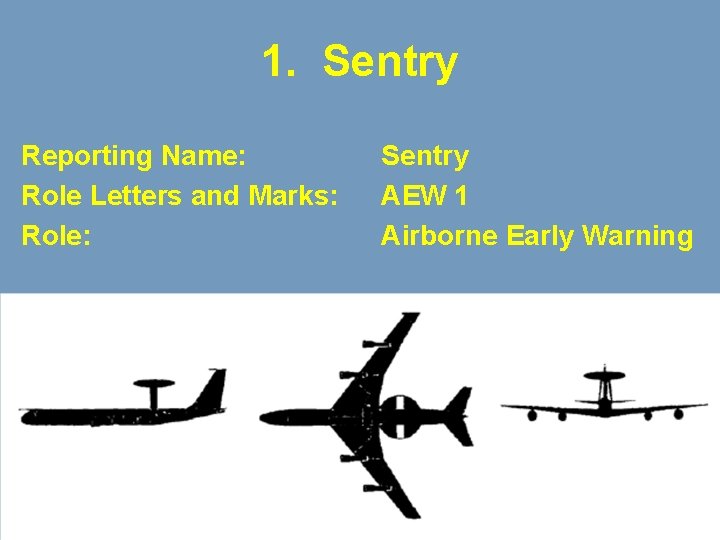 1. Sentry Reporting Name: Role Letters and Marks: Role: Sentry AEW 1 Airborne Early