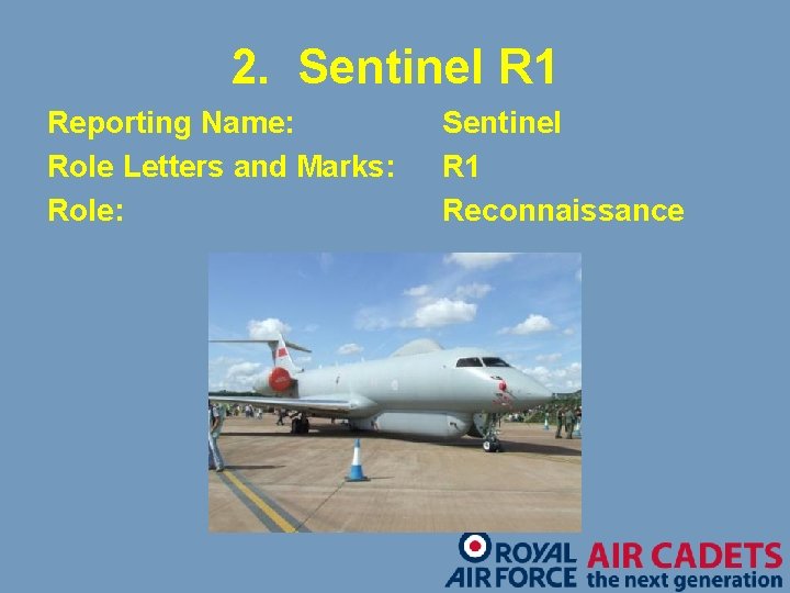 2. Sentinel R 1 Reporting Name: Role Letters and Marks: Role: Sentinel R 1