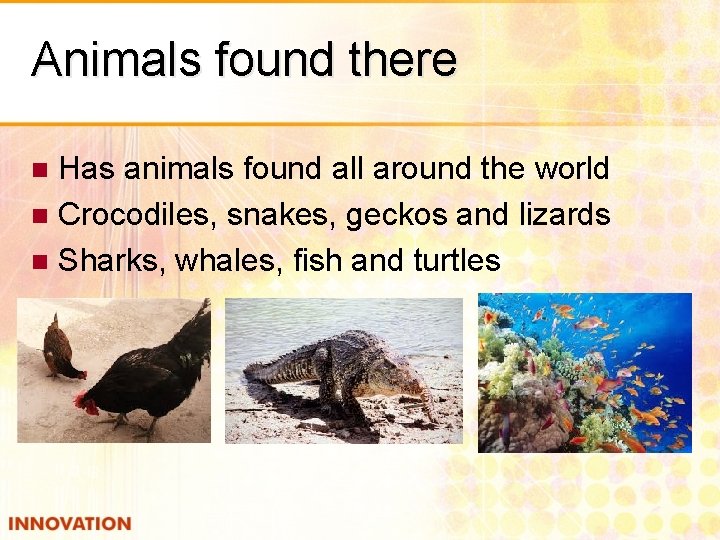 Animals found there Has animals found all around the world n Crocodiles, snakes, geckos