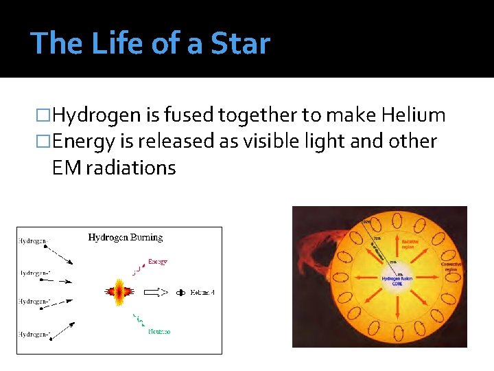 The Life of a Star �Hydrogen is fused together to make Helium �Energy is