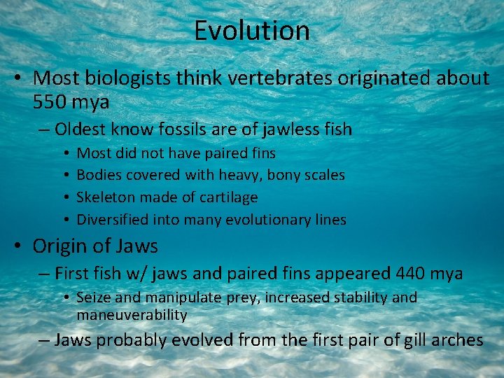Evolution • Most biologists think vertebrates originated about 550 mya – Oldest know fossils
