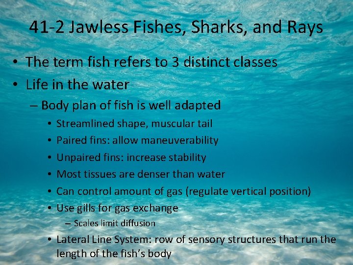 41 -2 Jawless Fishes, Sharks, and Rays • The term fish refers to 3