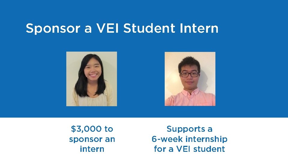 Sponsor a VEI Student Intern $3, 000 to sponsor an intern Supports a 6