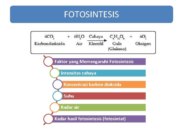 FOTOSINTESIS Faktor yang Memengaruhi Fotosintesis Intensitas cahaya Konsentrasi karbon dioksida Suhu Kadar air Kadar FOTOSINTESIS Faktor yang Memengaruhi Fotosintesis Intensitas cahaya Konsentrasi karbon dioksida Suhu Kadar air Kadar