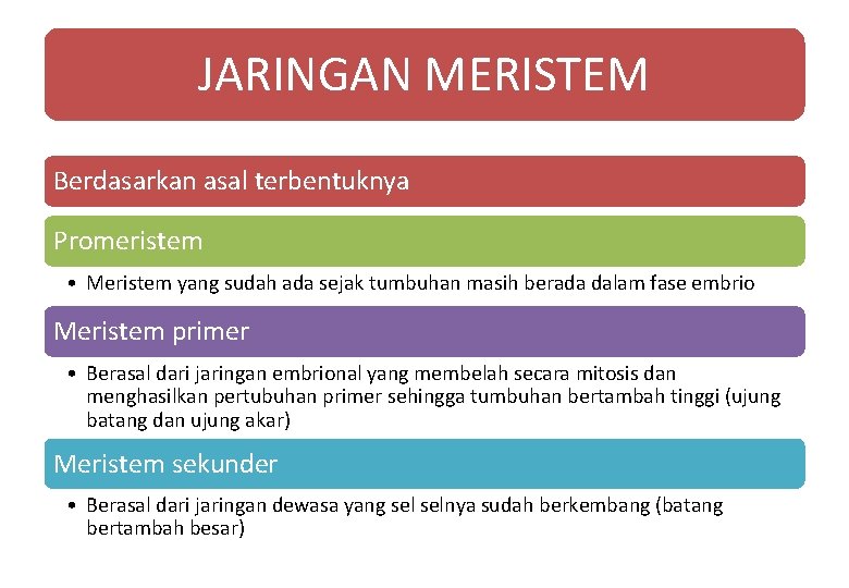 JARINGAN MERISTEM Berdasarkan asal terbentuknya Promeristem • Meristem yang sudah ada sejak tumbuhan masih JARINGAN MERISTEM Berdasarkan asal terbentuknya Promeristem • Meristem yang sudah ada sejak tumbuhan masih