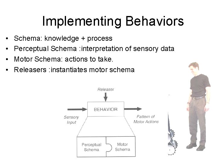 Implementing Behaviors • • Schema: knowledge + process Perceptual Schema : interpretation of sensory