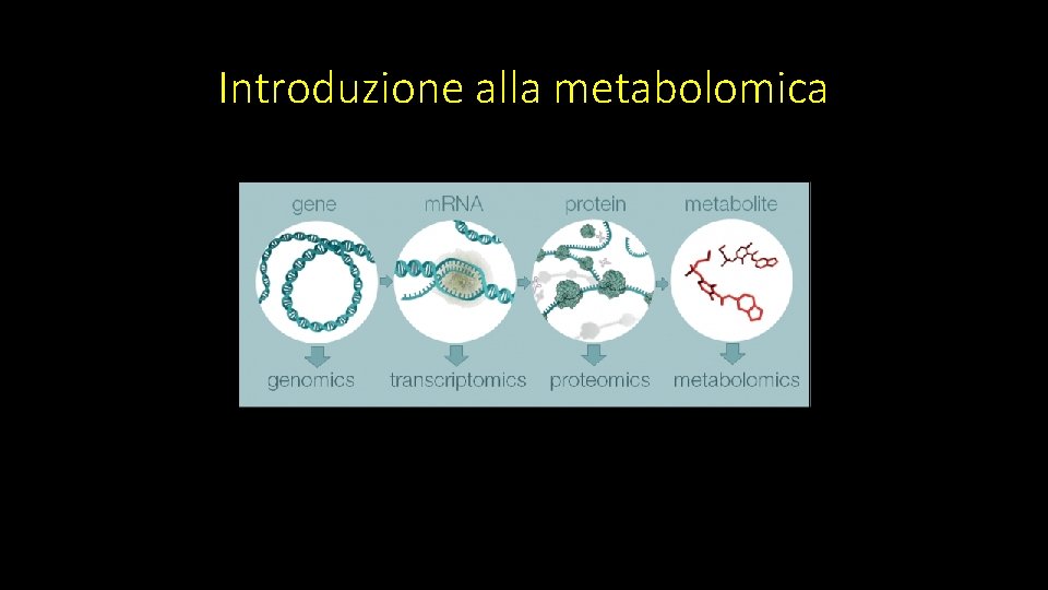 Introduzione alla metabolomica 