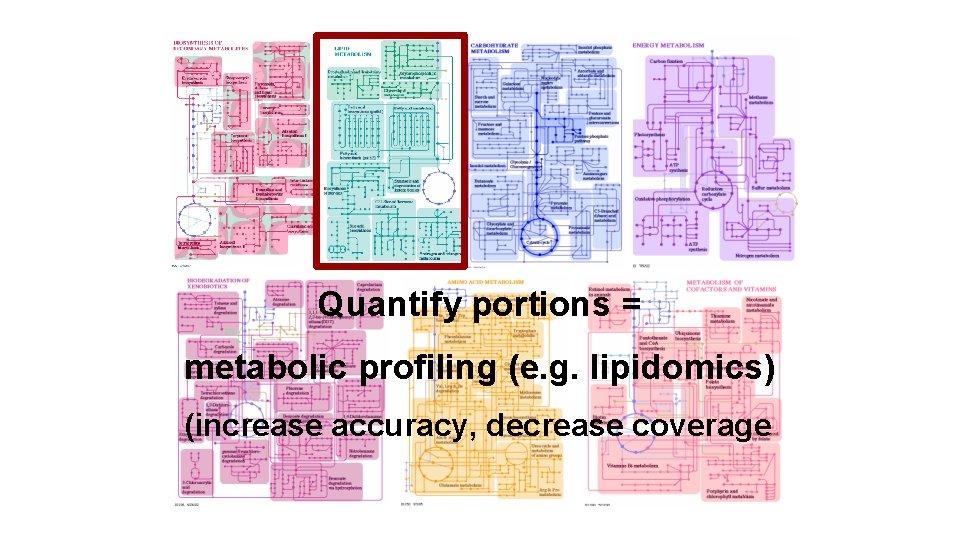 Quantify portions = metabolic profiling (e. g. lipidomics) (increase accuracy, decrease coverage 
