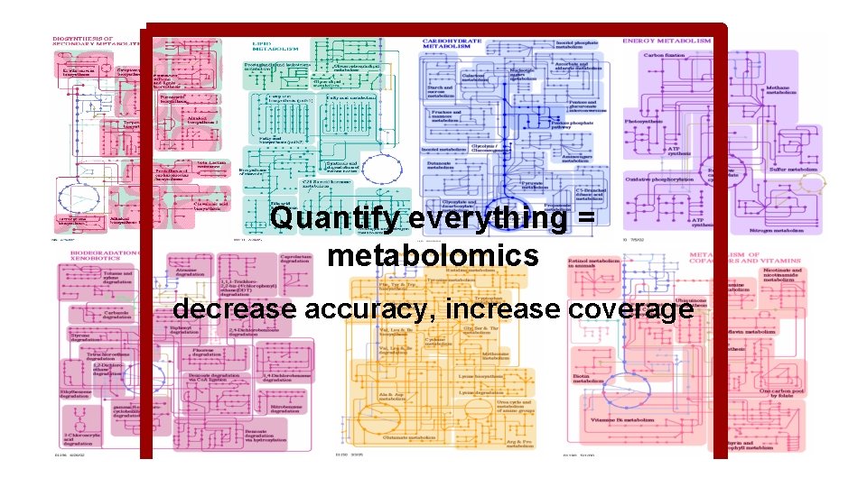 Quantify everything = metabolomics decrease accuracy, increase coverage 