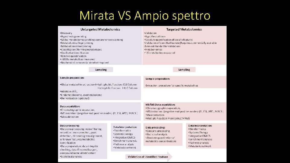 Mirata VS Ampio spettro 