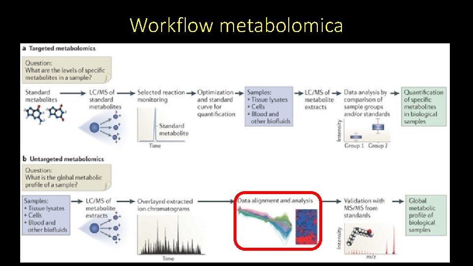 Workflow metabolomica 