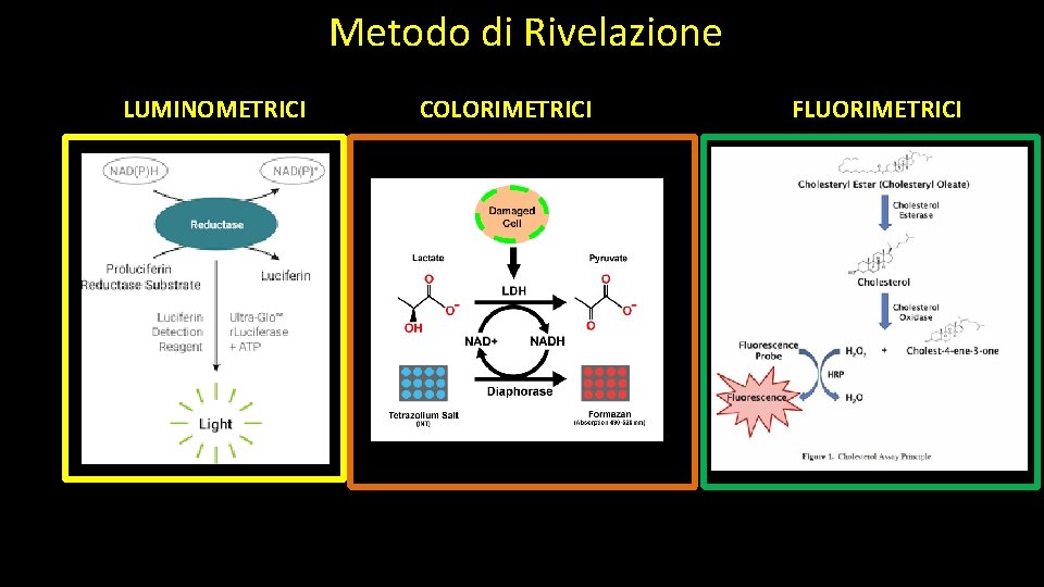 Metodo di Rivelazione LUMINOMETRICI COLORIMETRICI FLUORIMETRICI 