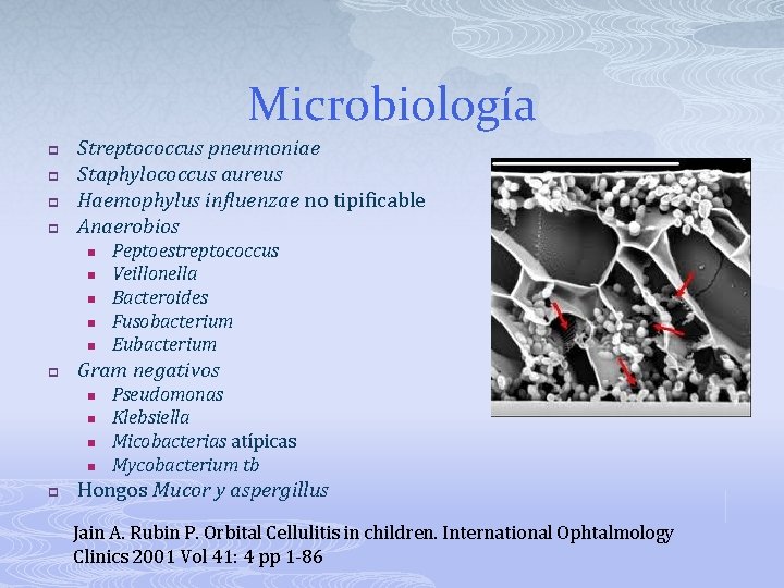 Microbiología p p Streptococcus pneumoniae Staphylococcus aureus Haemophylus influenzae no tipificable Anaerobios n n
