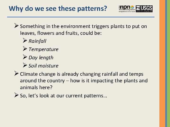 Why do we see these patterns? Ø Something in the environment triggers plants to