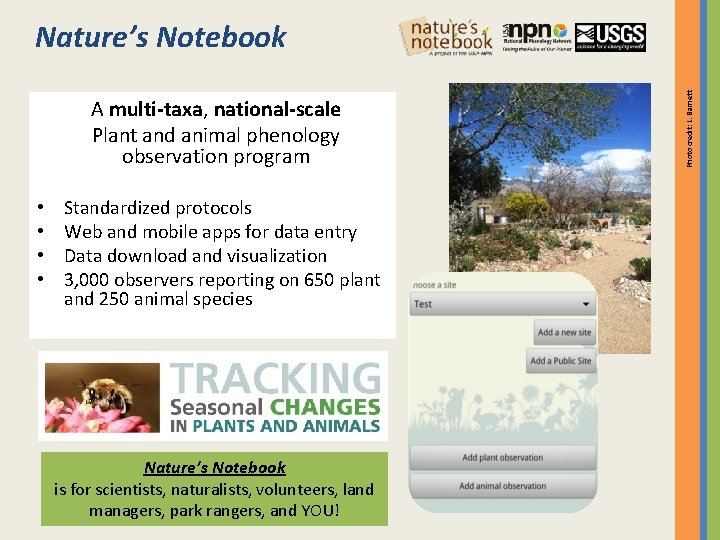 A multi-taxa, national-scale Plant and animal phenology observation program • • Standardized protocols Web