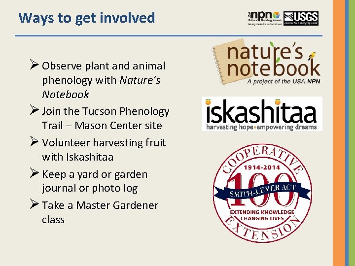 Ways to get involved Ø Observe plant and animal phenology with Nature’s Notebook Ø