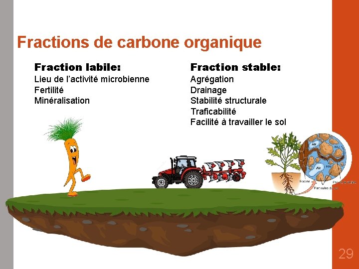 Fractions de carbone organique Fraction labile: Fraction stable: Lieu de l’activité microbienne Fertilité Minéralisation