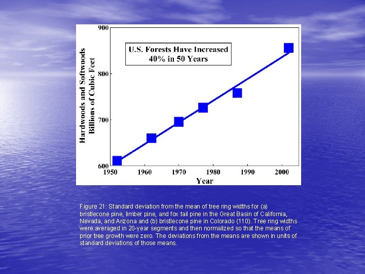 Figure 21: Standard deviation from the mean of tree ring widths for (a) bristlecone