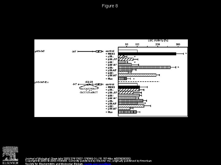 Figure 8 Journal of Biological Chemistry 2003 27817927 -17936 DOI: (10. 1074/jbc. M 203929200)