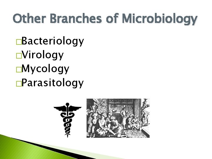 Other Branches of Microbiology �Bacteriology �Virology �Mycology �Parasitology 