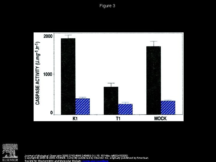 Figure 3 Journal of Biological Chemistry 2000 27524065 -24069 DOI: (10. 1074/jbc. M 002413200)
