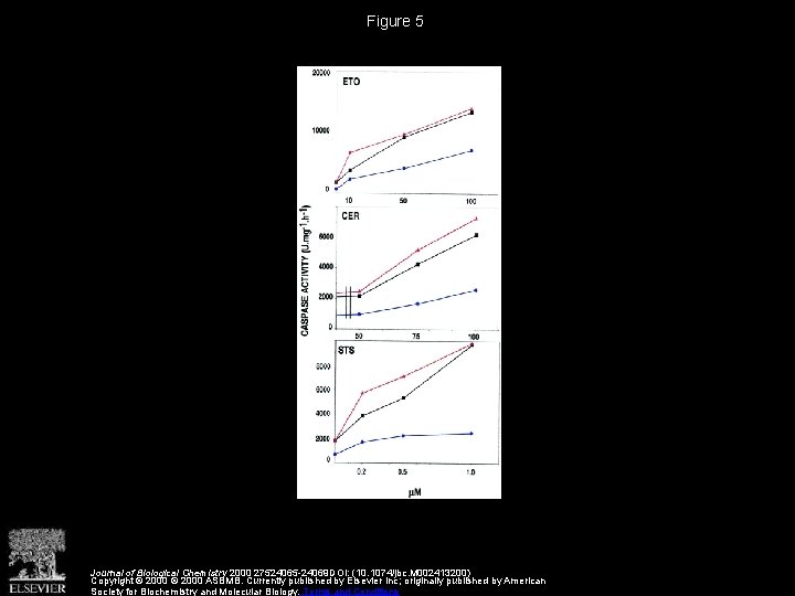 Figure 5 Journal of Biological Chemistry 2000 27524065 -24069 DOI: (10. 1074/jbc. M 002413200)