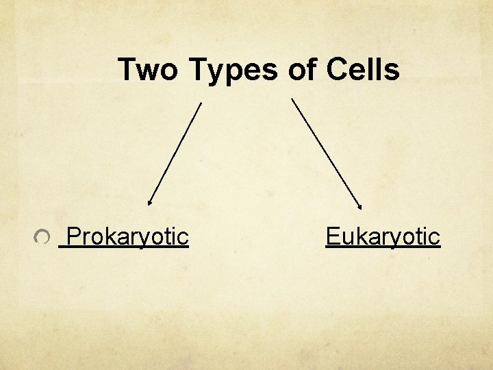 Two Types of Cells Prokaryotic Eukaryotic 
