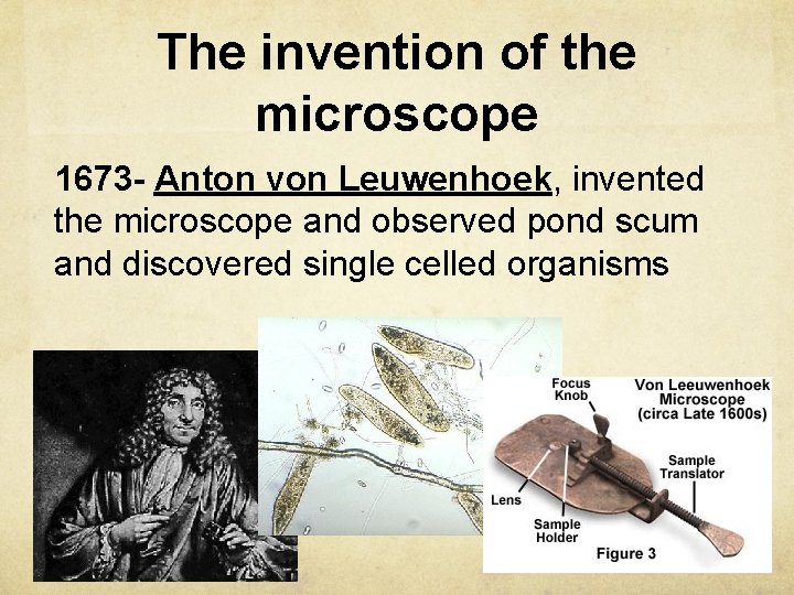 The invention of the microscope 1673 - Anton von Leuwenhoek, invented the microscope and