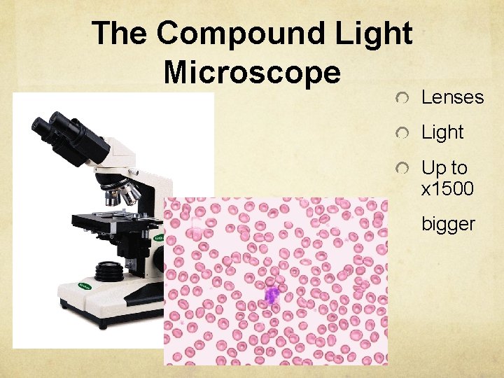 The Compound Light Microscope Lenses Light Up to x 1500 bigger 