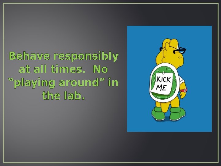 Behave responsibly at all times. No “playing around” in the lab. 