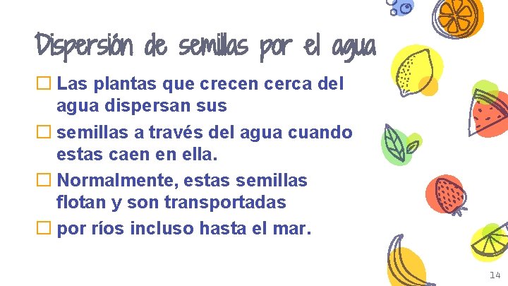 Dispersión de semillas por el agua � Las plantas que crecen cerca del agua