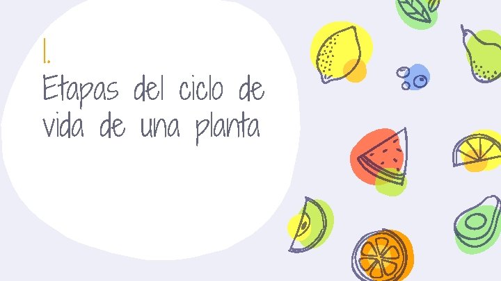 1. Etapas del ciclo de vida de una planta 
