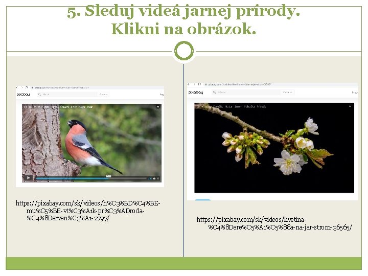 5. Sleduj videá jarnej prírody. Klikni na obrázok. https: //pixabay. com/sk/videos/h%C 3%BD%C 4%BEmu%C 5%BE-vt%C