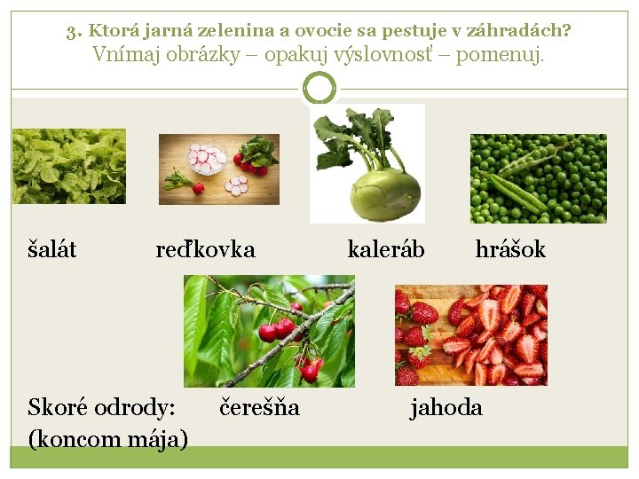 3. Ktorá jarná zelenina a ovocie sa pestuje v záhradách? Vnímaj obrázky – opakuj
