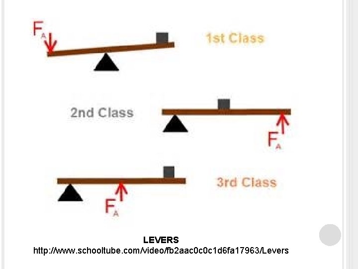 LEVERS http: //www. schooltube. com/video/fb 2 aac 0 c 0 c 1 d 6