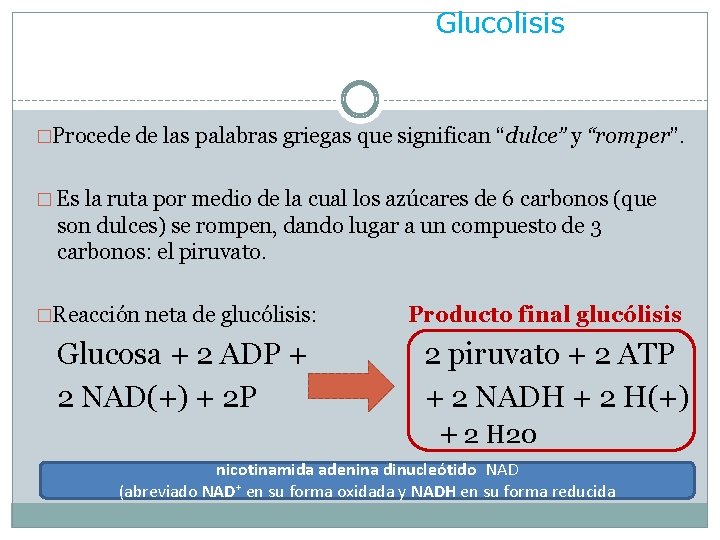 Glucolisis �Procede de las palabras griegas que significan “dulce” y “romper”. � Es la