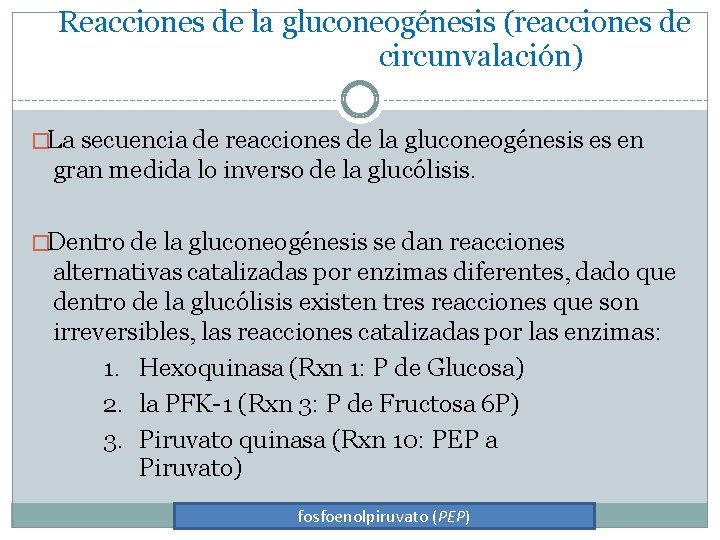 Reacciones de la gluconeogénesis (reacciones de circunvalación) �La secuencia de reacciones de la gluconeogénesis