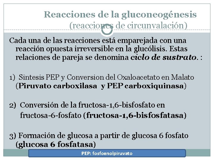 Reacciones de la gluconeogénesis (reacciones de circunvalación) Cada una de las reacciones está emparejada