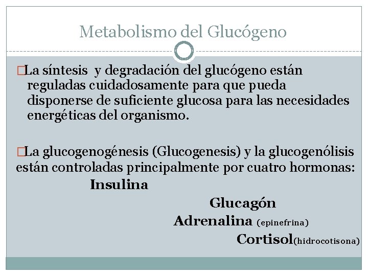 Metabolismo del Glucógeno �La síntesis y degradación del glucógeno están reguladas cuidadosamente para que
