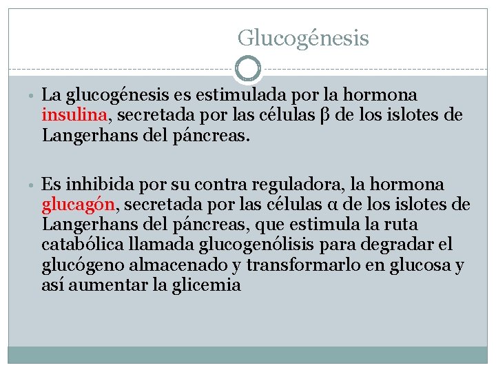Glucogénesis • La glucogénesis es estimulada por la hormona insulina, secretada por las células