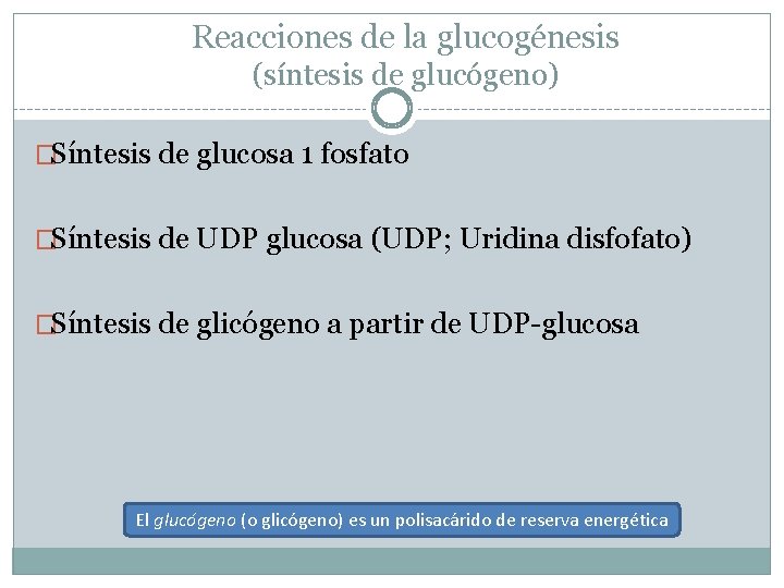 Reacciones de la glucogénesis (síntesis de glucógeno) �Síntesis de glucosa 1 fosfato �Síntesis de