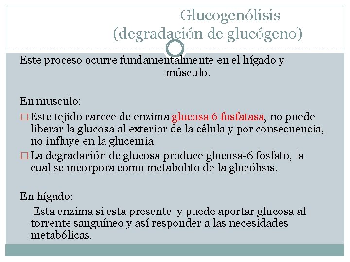 Glucogenólisis (degradación de glucógeno) Este proceso ocurre fundamentalmente en el hígado y músculo. En