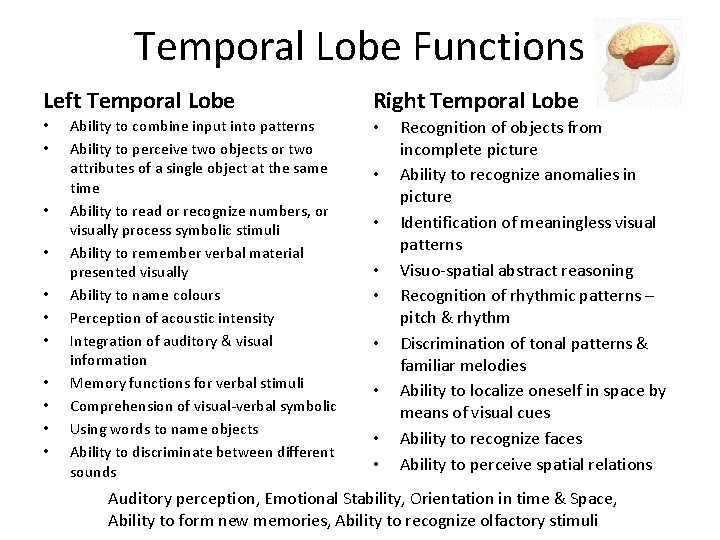 Temporal Lobe Functions Left Temporal Lobe • • • Ability to combine input into