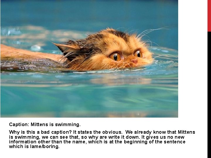 Caption: Mittens is swimming. Why is this a bad caption? It states the obvious.