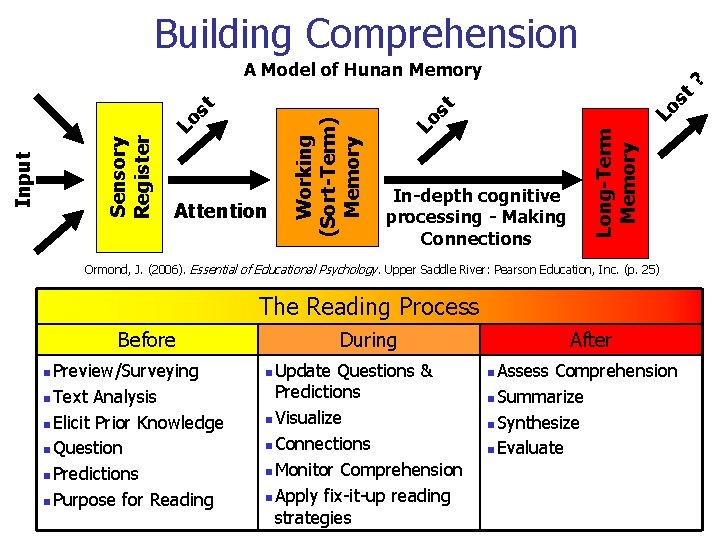 Building Comprehension st Lo Lo st In-depth cognitive processing - Making Connections Long-Term Memory