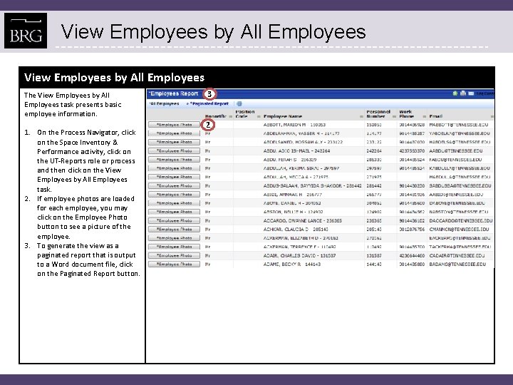 View Employees by All Employees The View Employees by All Employees task presents basic