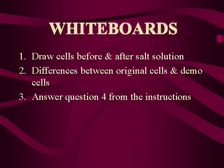 WHITEBOARDS 1. Draw cells before & after salt solution 2. Differences between original cells