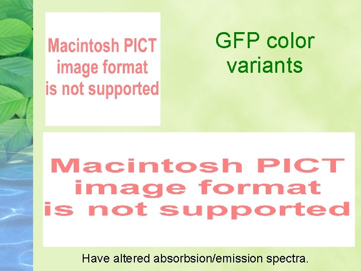 GFP color variants Have altered absorbsion/emission spectra. 