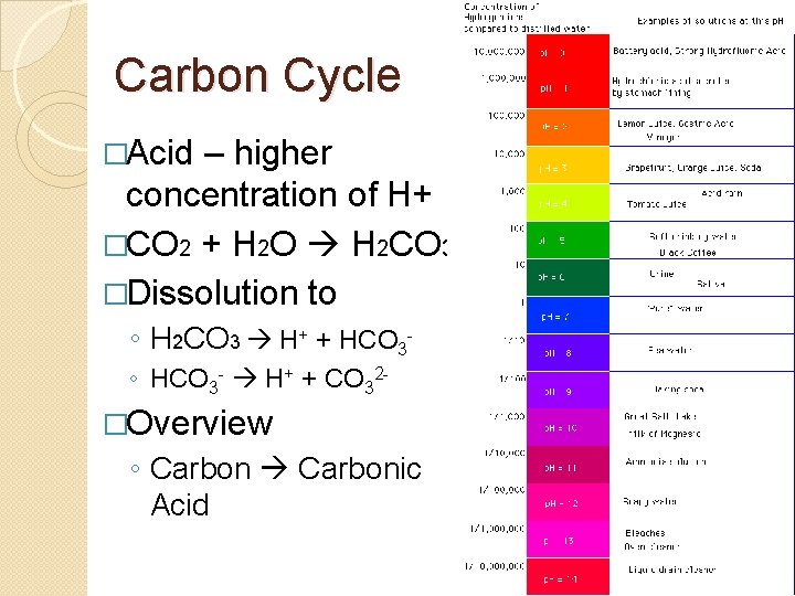 Carbon Cycle �Acid – higher concentration of H+ �CO 2 + H 2 O