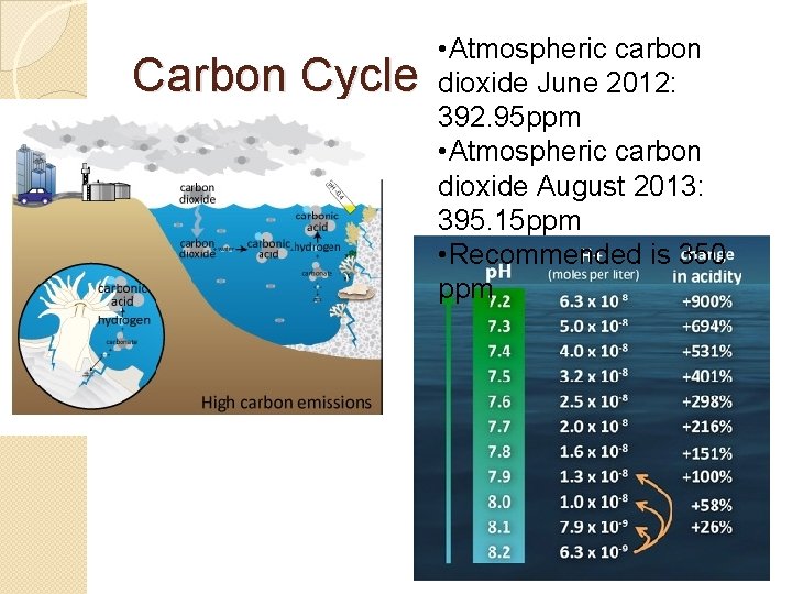 Carbon Cycle • Atmospheric carbon dioxide June 2012: 392. 95 ppm • Atmospheric carbon